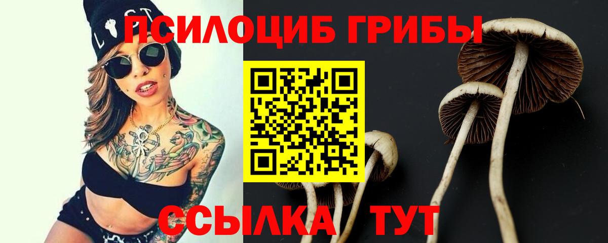 Кропоткин  Галлюциногенные грибы мицелий  Вход с VPN 